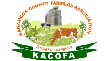 KaCoFa Logo