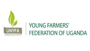 UNYFA Logo