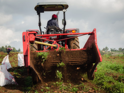 Starting fully mechanised harvesting