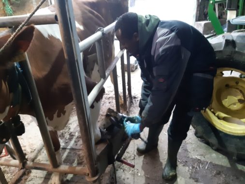 Rutah bei der Arbeit