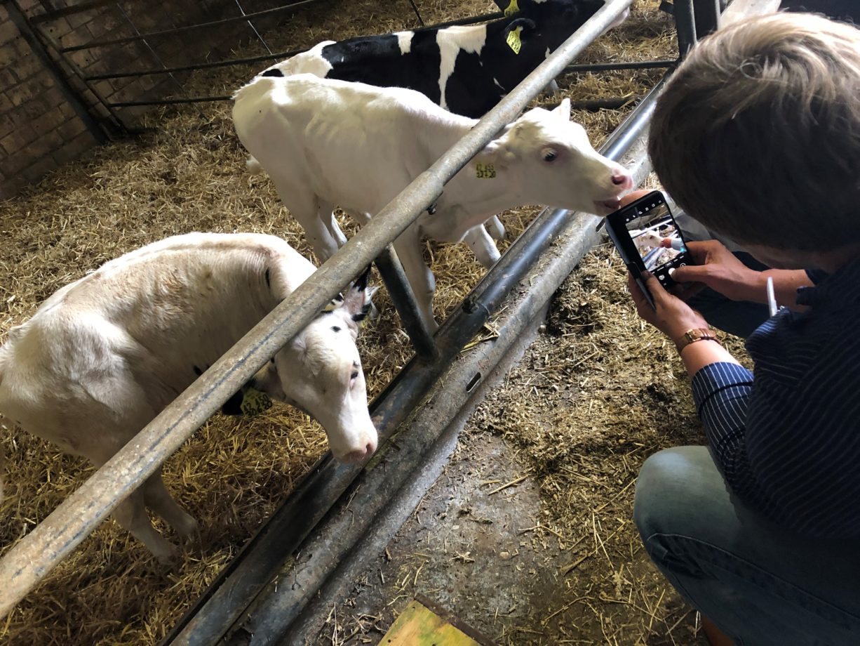 Stallbesuch bei Milchbauer Matthias Schulte-Althoff