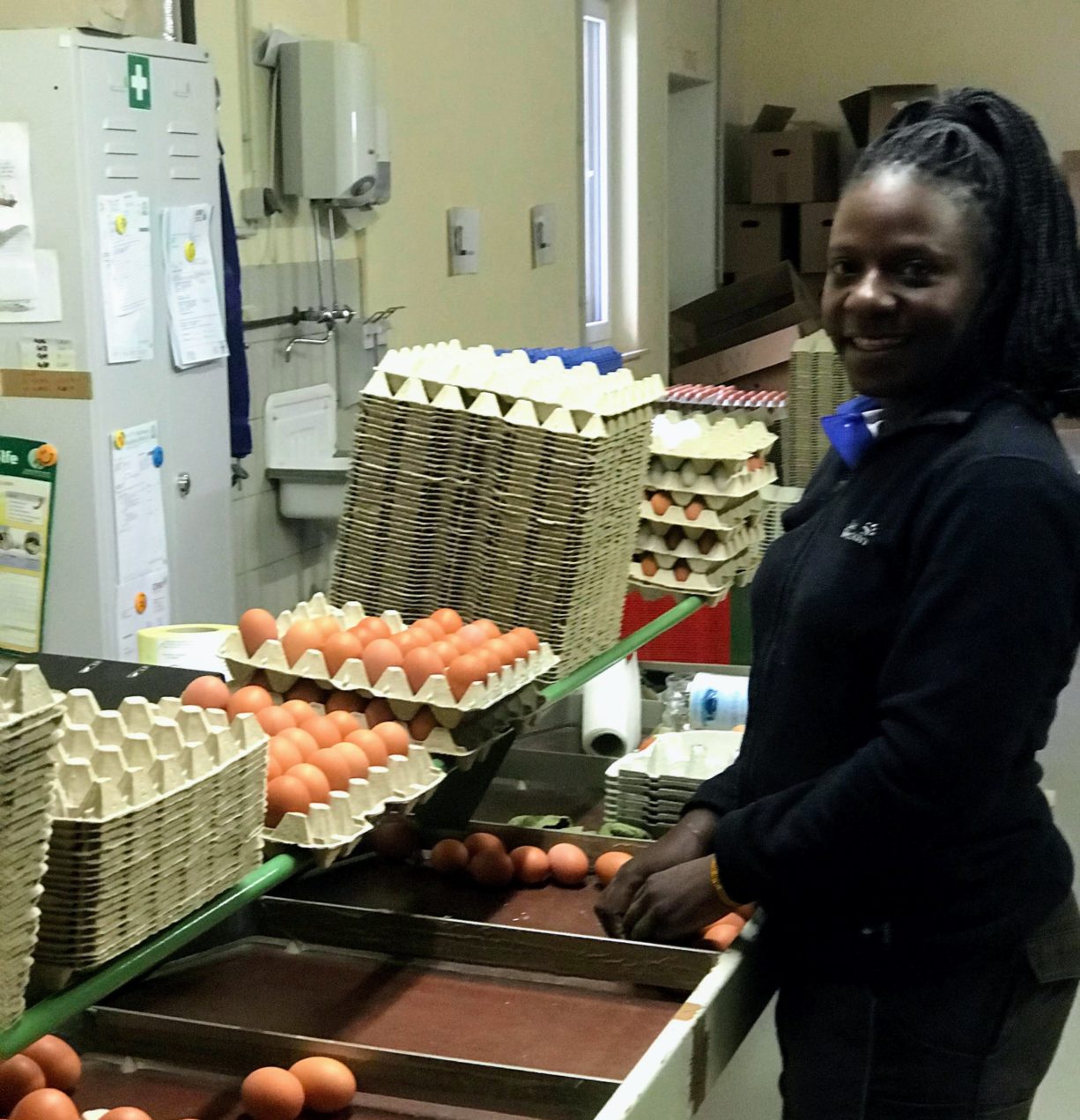 Eve sorting the eggs