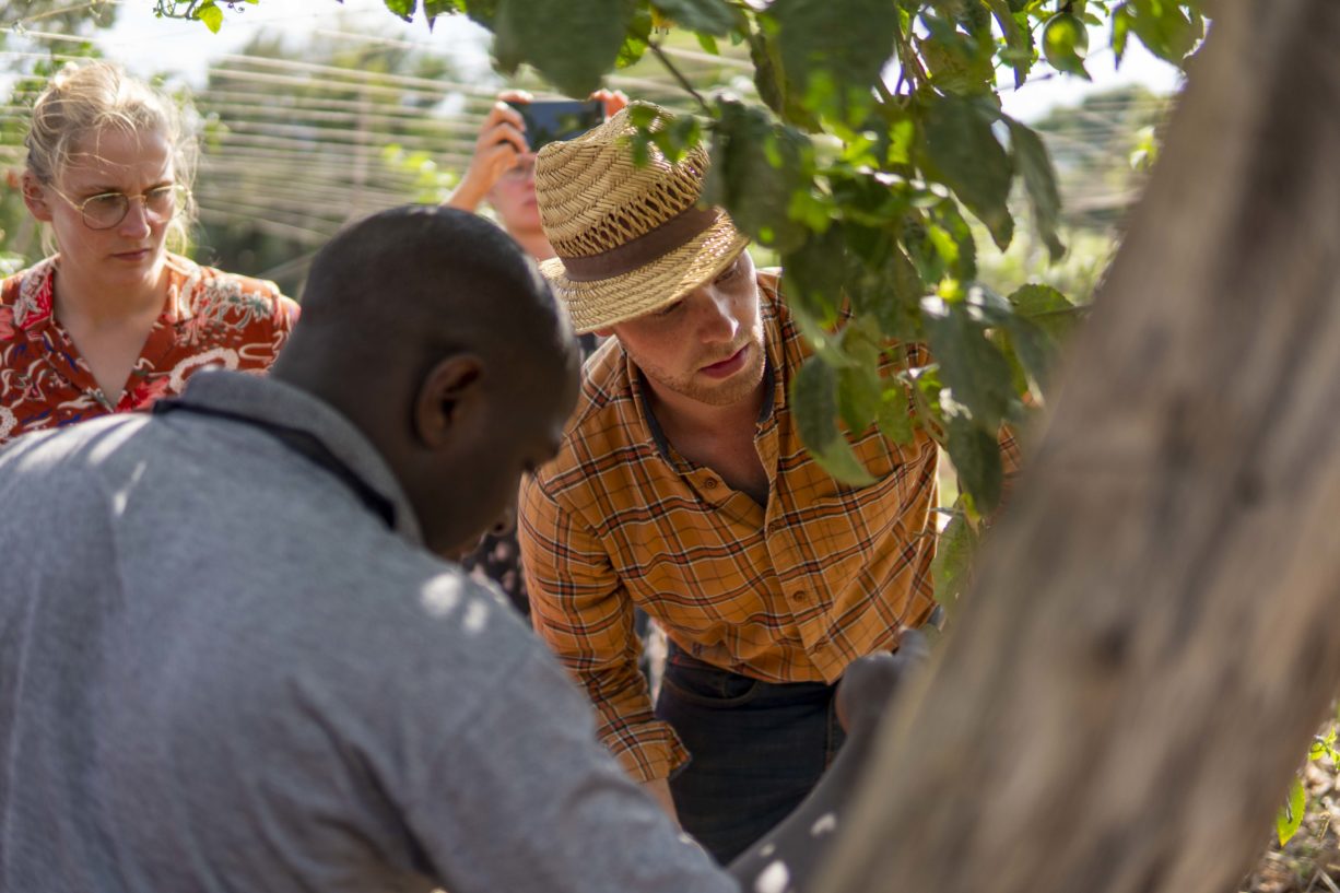 #IYFEP Alumni James Bakka zeigt die Blüte der Passionspflanze