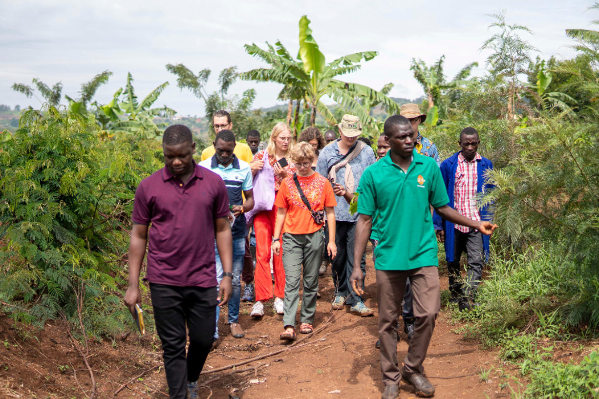 Exkursion zur "Kibinge Coffee Farmer Cooperative Society"