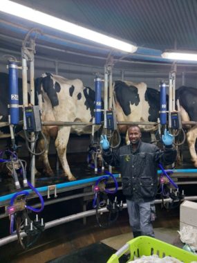 Jacob Hikuama (Namibie) dans une exploitation laitière en Allemagne.
