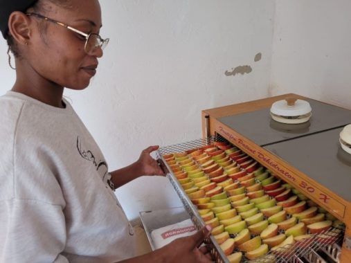 Nokwanda Ndlovu (Eswatini) lors du séchage des pommes en Slovénie.