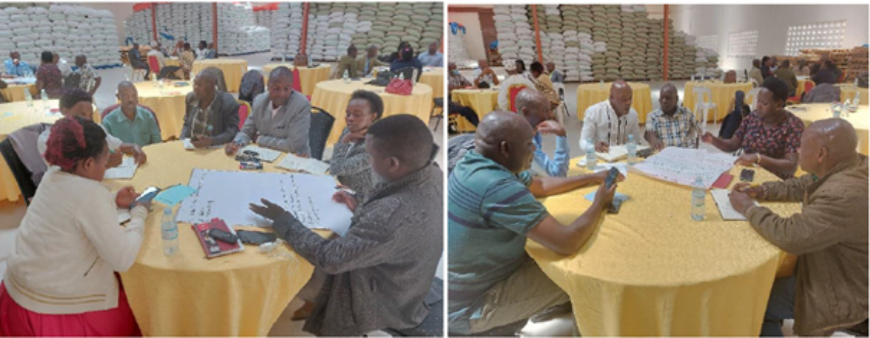Les directeurs et directrices des coopératives discutent des résultats de l'enquête (Photos : Thomas Mayega)