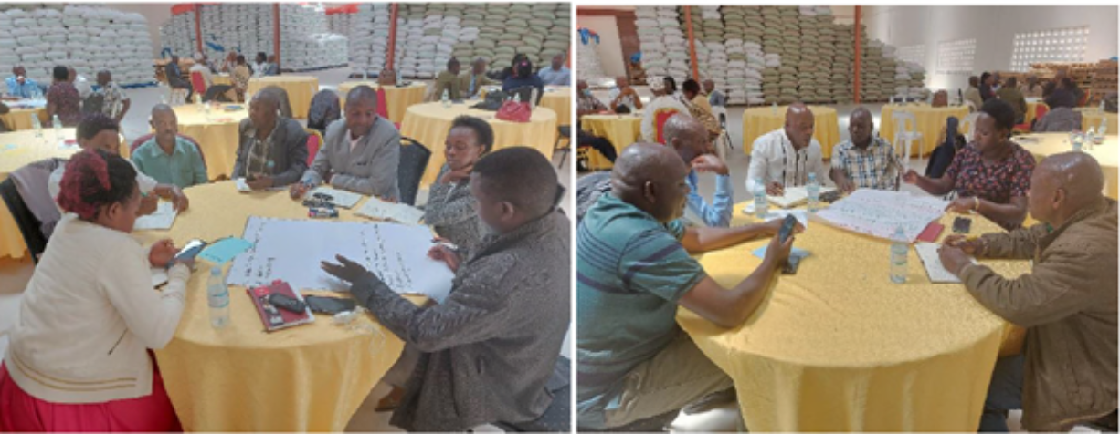 Managers from the cooperatives discuss the survey results (Photos: Thomas Mayega)