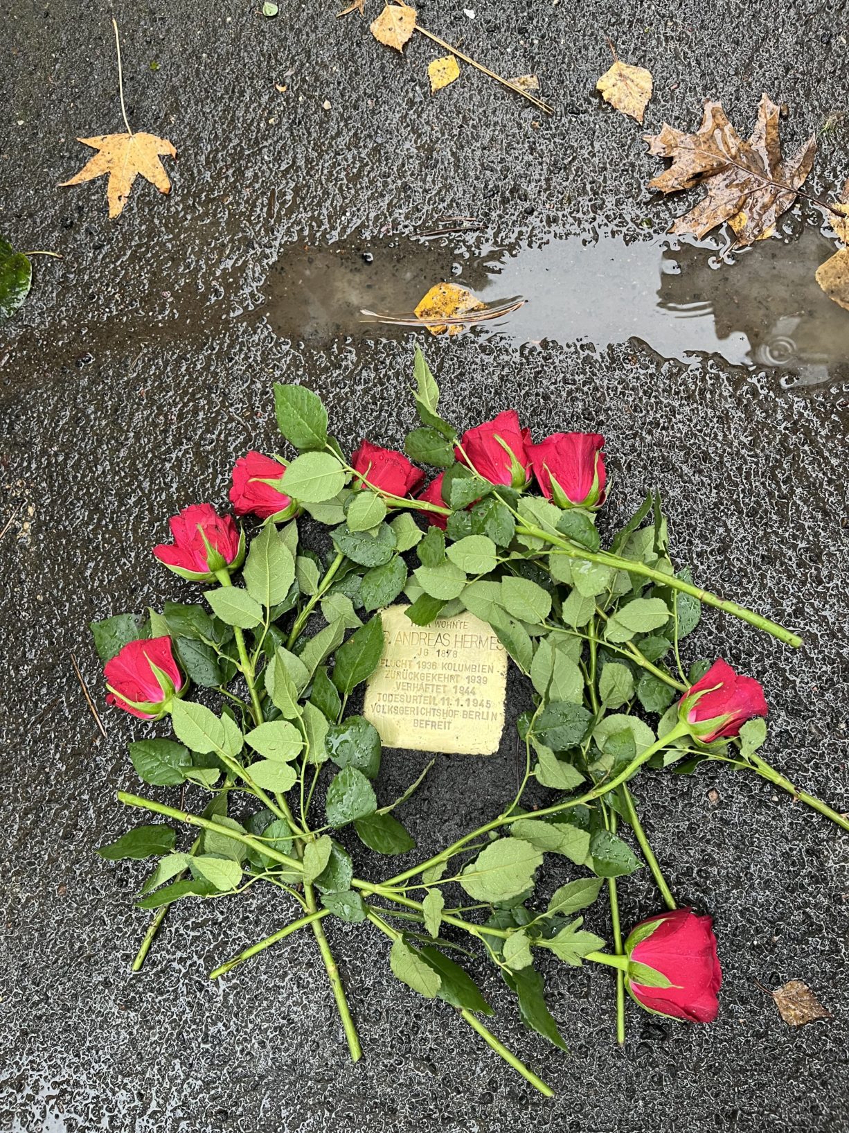 Stolperstein für Reichsminister a. D. und Namensgeber der AHA Dr. Andreas Hermes