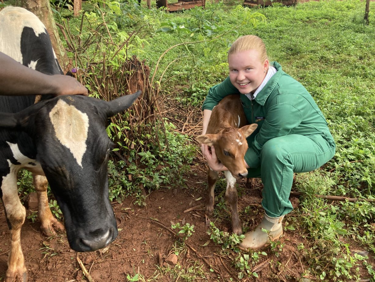 Eindrücke vom Praktikum der Agrarstudentin Maren Jasper-Bruns in Uganda (Foto: UNYFA und Maren Jasper-Bruns)